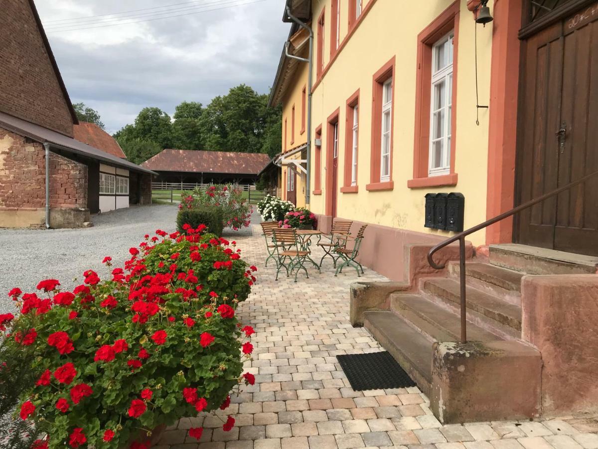 Elegantes Gaesteapartment Verano In Schloss Und Hofgut Langenzell Wiesenbach Exteriör bild